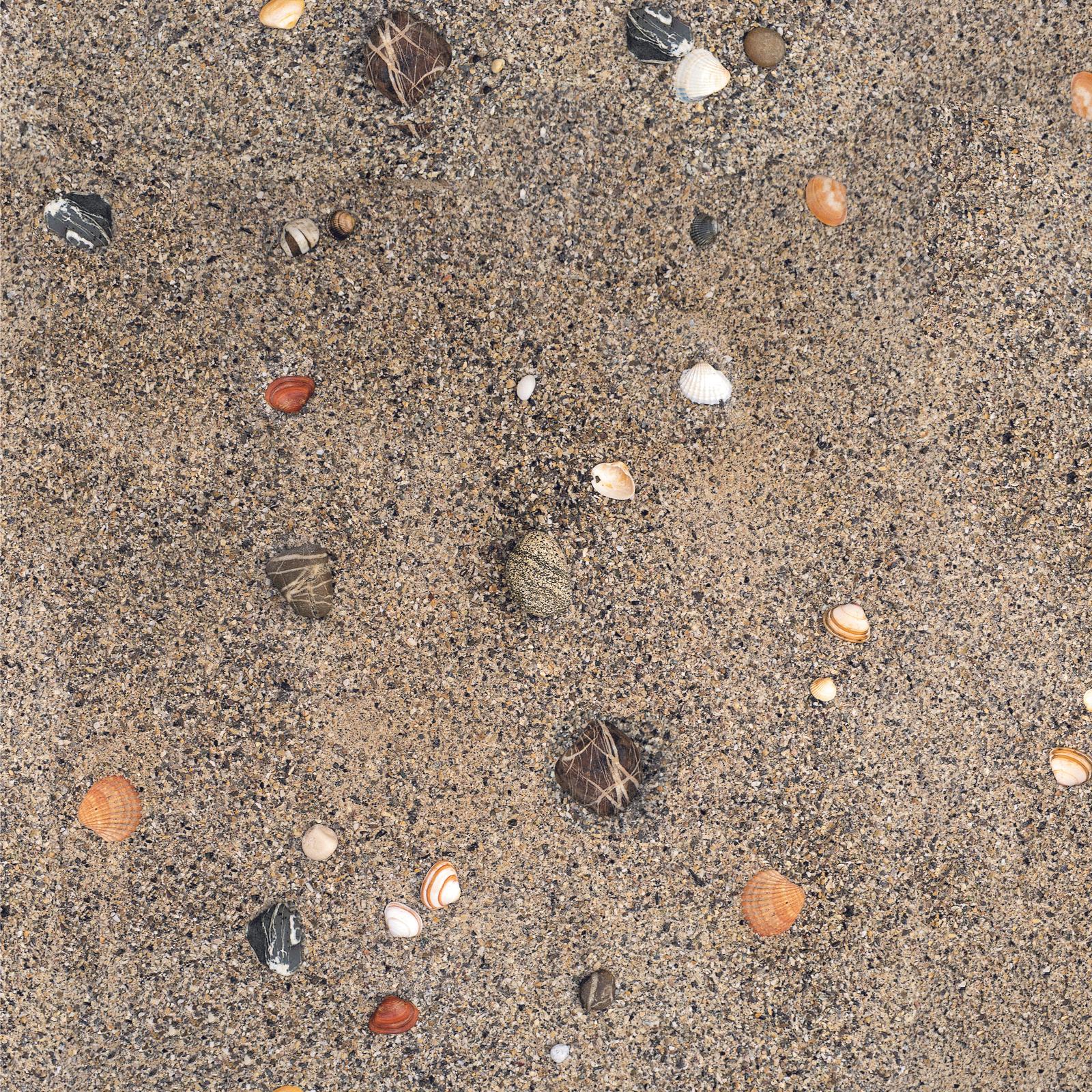 wb1055_701 Sand and shells