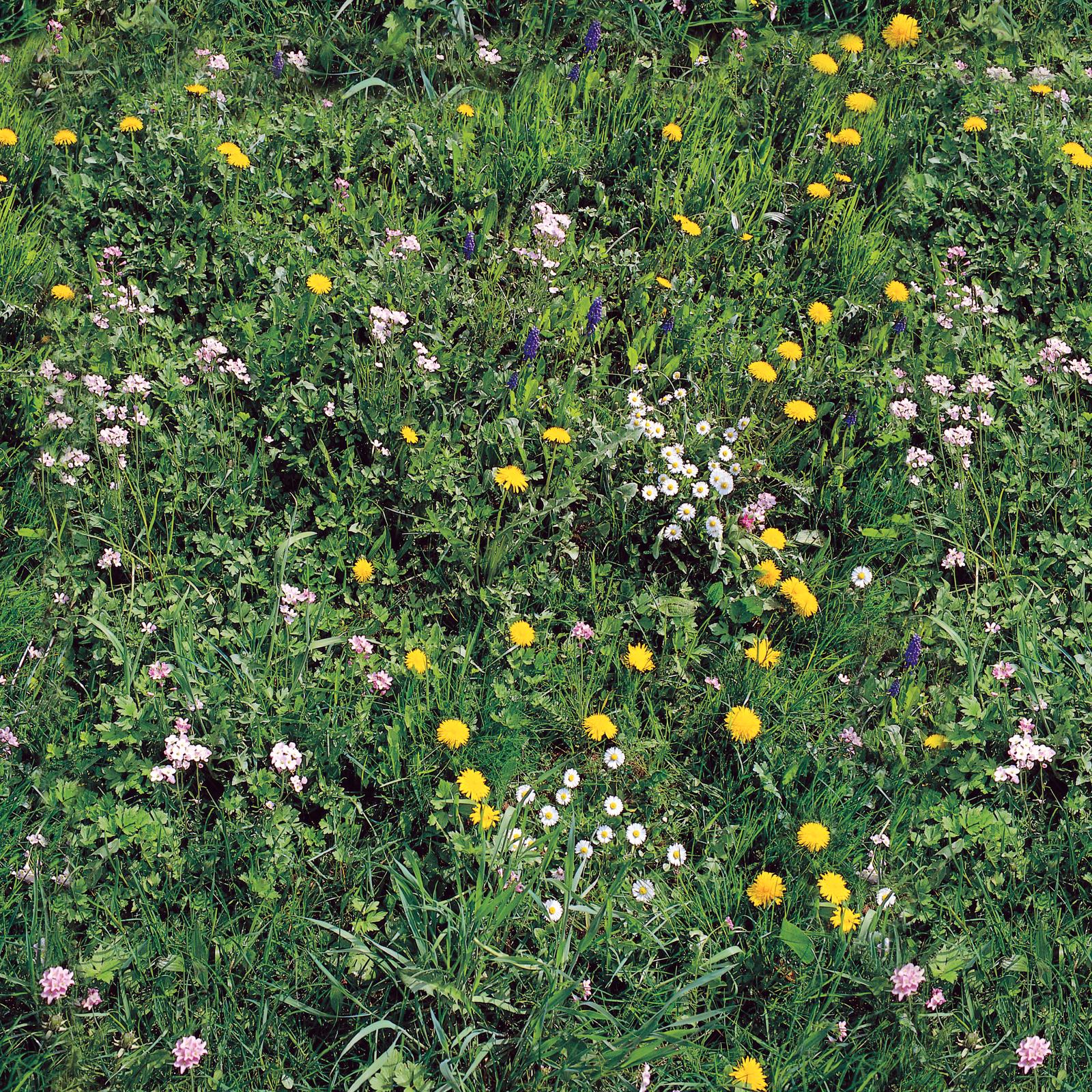wb1079_700 Flowerfield